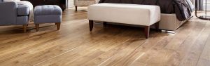 img-entete-bois-ingenierie-color